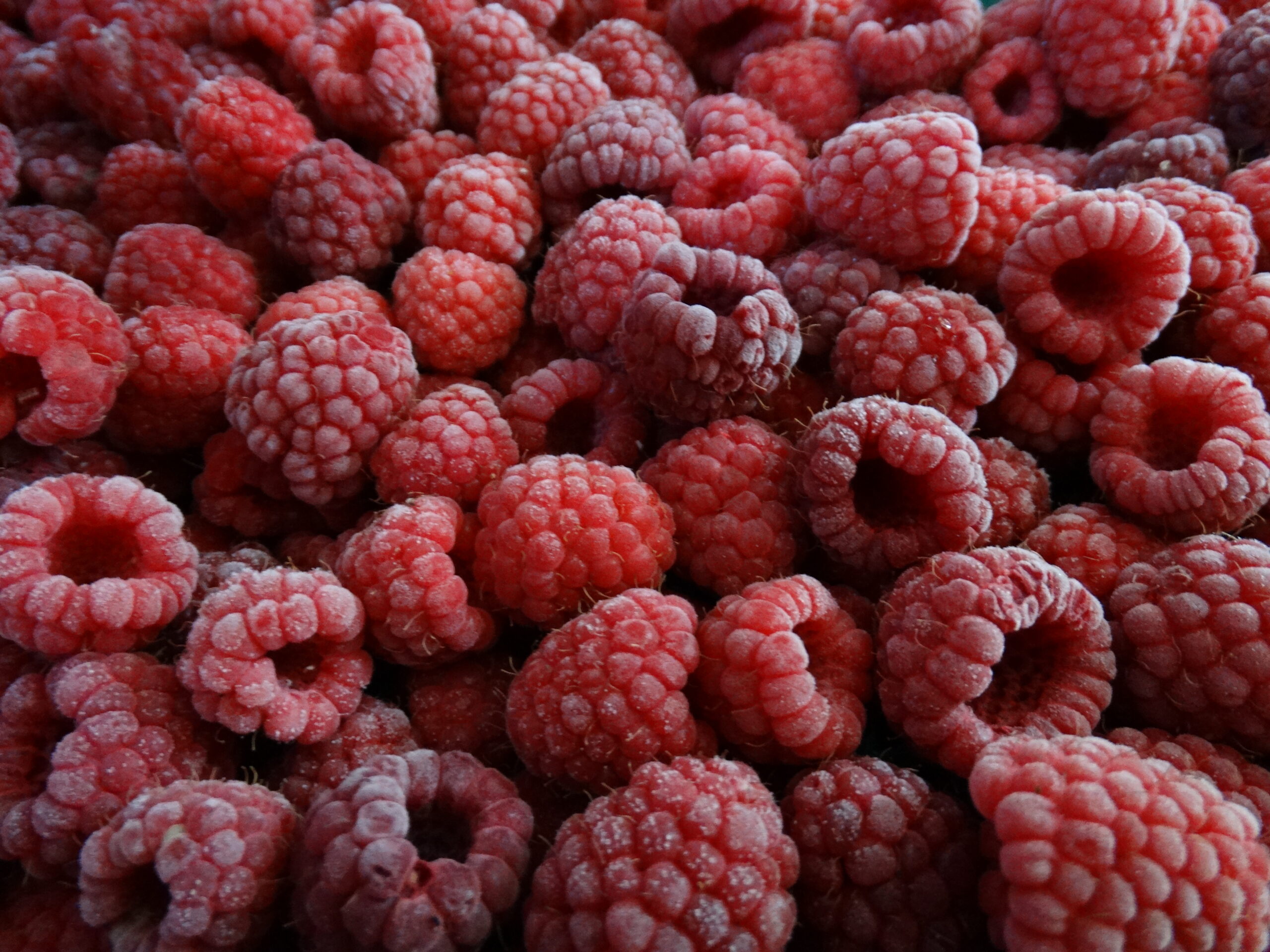 Frambuesa IQF